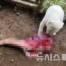 동호회건강원