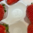 킹스베리 | 류권호농원 킹스베리딸기 당도좋은 딸기 후기