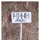 명월2리 이미지