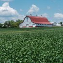 광주전남행정사사무소 이미지