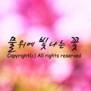 아낙네낙지동태탕