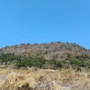 달리오름 | 당산봉 (제주도 오름 45) 탐방객이 많아 놀랐던 오름