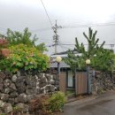 명월돌집 민박 이미지