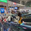 포르투갈 유럽 패키지 여행 환전금액 및 준비물, 터키항공 출국 후기