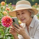 스마트폰으로 사진작가 되기 이미지