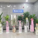 비지니스 스크린골프 | 대구 서구 중고스크린골프 설치 후기 실제경험 | 설치 전후 체감 차이 정리