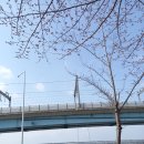 갈맷길(6-1구간) 이미지