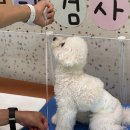 멍 앤 빌리지 네이버블로그