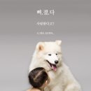 도그몽 이미지