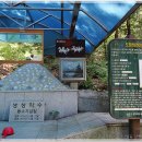 도암샘(생성) 이미지