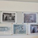 꼬쭈김밥 | 광양 덕례리 신상 김밥 맛집｜꼬쭈김밥 가성비 점심 분식집 추천 (땡초김밥 내돈내산)