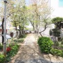 황실타운 이미지