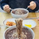 국수락 | [명지 맛집] 뜨끈한 칼국수 먹으러 내돈내산 서연국수