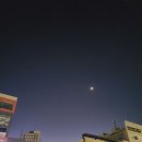 내포복싱격투기 D파이널짐 이미지