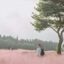 내돈내산_제주도스냅_달물결스냅후기