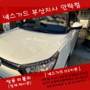 넥스가드부산지사
