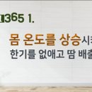 올리고365 이미지