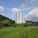 엠코굿모닝공인중개사사무소 이미지