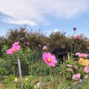 동보목욕탕 이미지