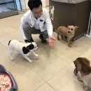 딜리동물병원 이미지