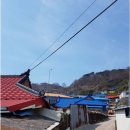 풍도맛집민박 이미지