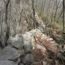 백두대간 이화령-버리미기재 구간(27.5km) 산행기 이미지