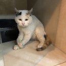 타이어프로 상동점 이미지