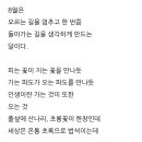 8월의 시(오세영) 이미지