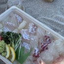 헤드홈탐라 | [국내/제주여행] 가을 제주도 3박4일 일정 공유 (여유로운 일정에 만족도 최상, 맛도리 추천, 숙소 추천...