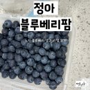 정아슈퍼 앞 | 정아 블루베리팜 직배송 : 노지재배 대형 생블루베리로 스무디 &amp; 요거트 건강간식