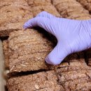 부산진여자고등학교 이미지