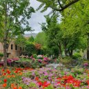 봄의 제전 G. | 뮤지컬 디아길레프 안재영 박상준 이윤영 김도후 _240421낮 스콜 갖고싶다