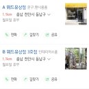 위드소미