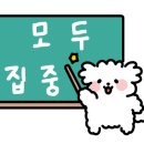 디알리아피부샵