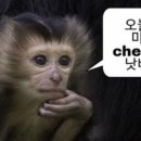 어루다 이미지