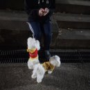 재궁근린공원