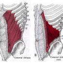 비타민 헬스센타 이미지
