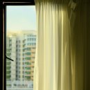 농업회사법인 코코스팜 주식회사 | 비염 완치에 가까워지는 2주 루틴 (재발까지 잡는 현실 방법)