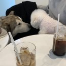 무병짱수 이미지