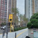 용인대 석사 스타태권도장 이미지