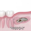 애련정로 1 이미지