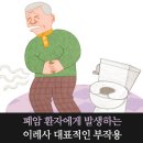 이레사
