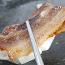 수영냉삼 이미지