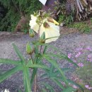 평기2리 이미지