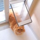 주식회사타비오 이미지