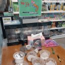 우치로 | 광주 패밀리랜드동물원 벅스랜드 초등 자녀와 다녀온 곤충파충류 실내체험 후기