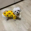 다은동물병원 이미지