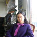 보라카센타 이미지