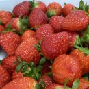 스마트원치과병원 이미지