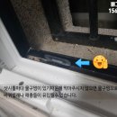 보장클리닉